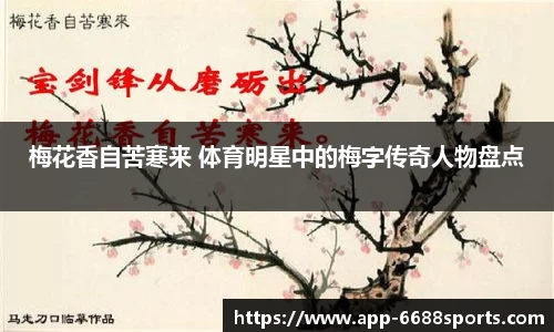 6688体育